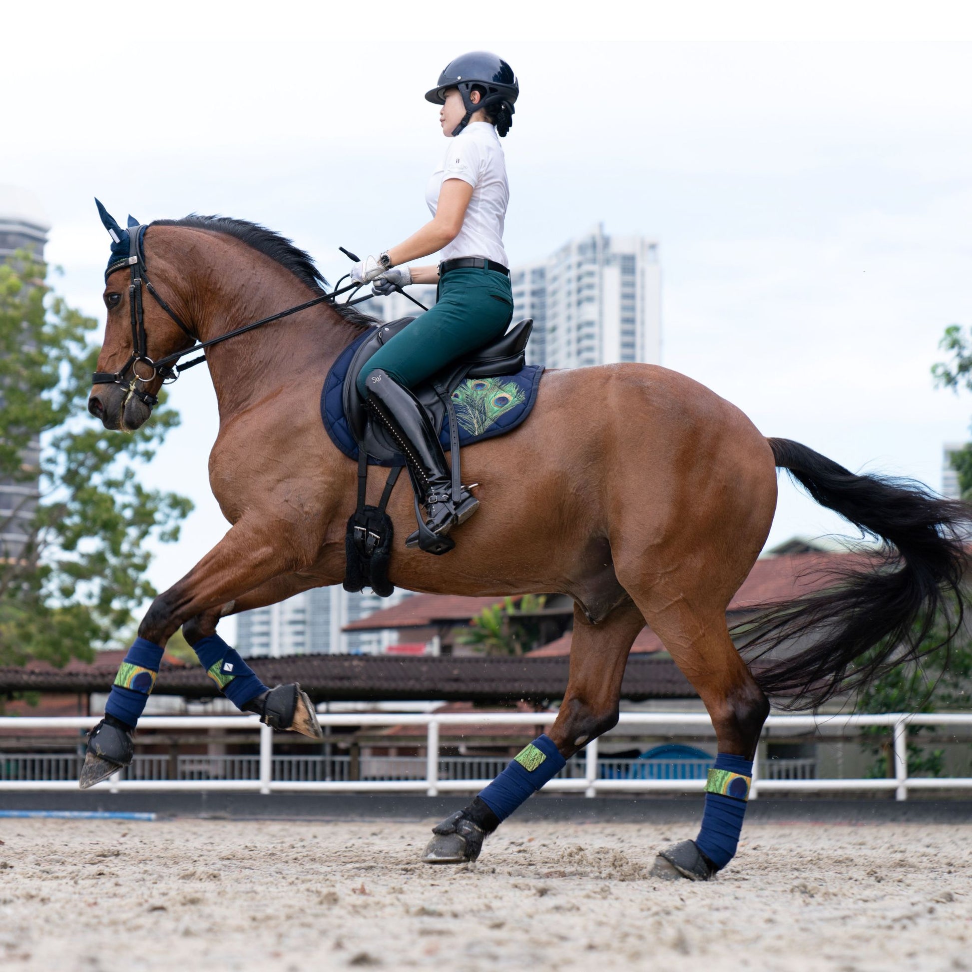 Horse Riding Accessories | Peacock Feather Full Set
