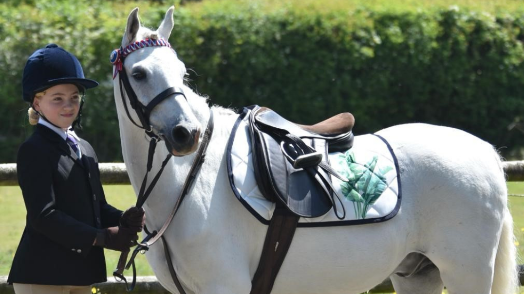 Range of luxury sustainable horse products – Paladin Equestrian